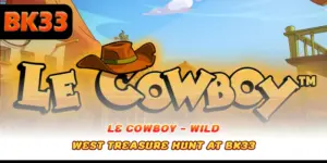 Le Cowboy